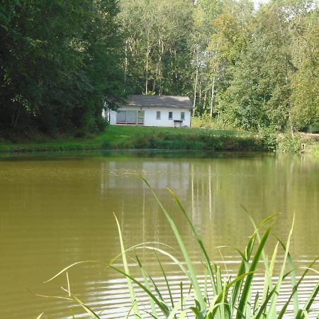 Deux Etangs Poissonneux Au Milieu Des Bois Avec Gite Moderne, La Halte Des Deux Lacs Rosée Exterior photo