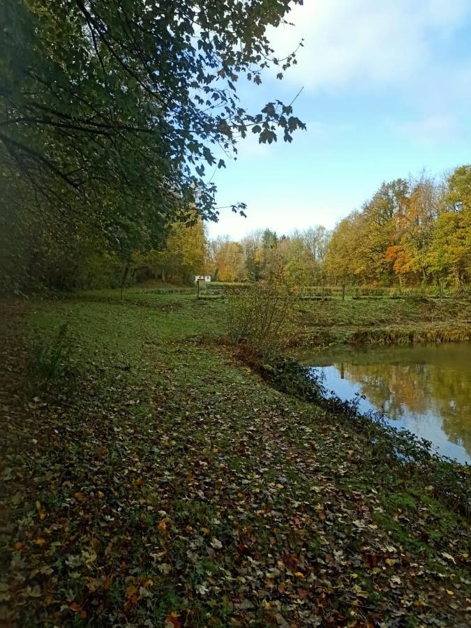 Deux Etangs Poissonneux Au Milieu Des Bois Avec Gite Moderne, La Halte Des Deux Lacs Rosée Exterior photo