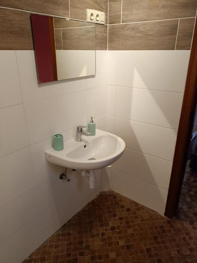 Deux Etangs Poissonneux Au Milieu Des Bois Avec Gite Moderne, La Halte Des Deux Lacs Rosée Exterior photo