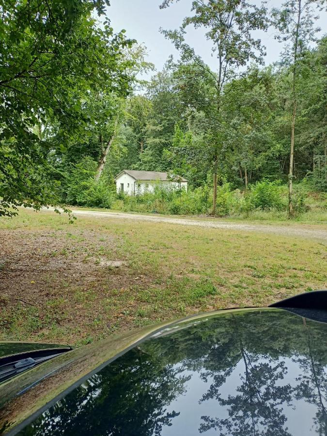 Deux Etangs Poissonneux Au Milieu Des Bois Avec Gite Moderne, La Halte Des Deux Lacs Rosée Exterior photo