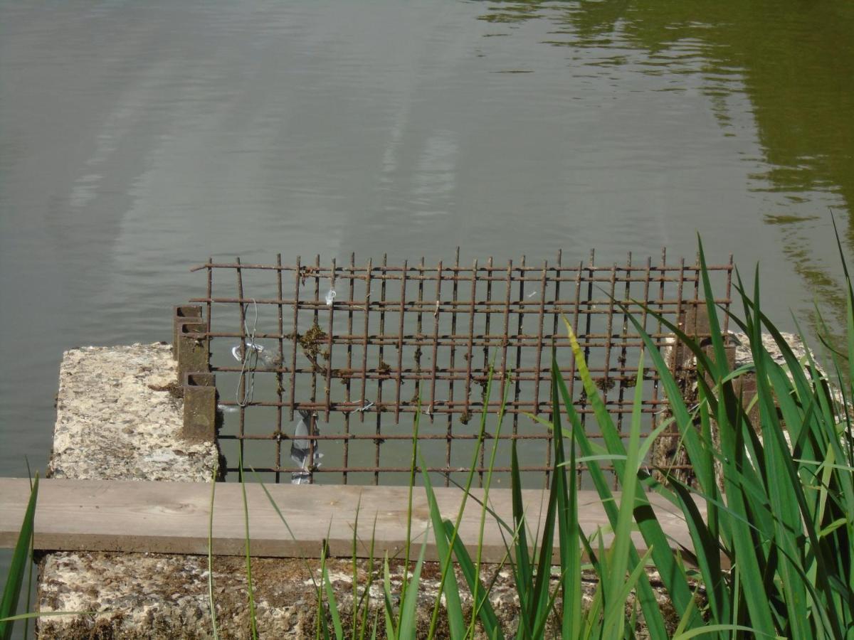 Deux Etangs Poissonneux Au Milieu Des Bois Avec Gite Moderne, La Halte Des Deux Lacs Rosée Exterior photo