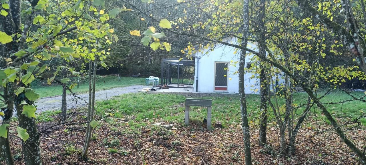Deux Etangs Poissonneux Au Milieu Des Bois Avec Gite Moderne, La Halte Des Deux Lacs Rosée Exterior photo