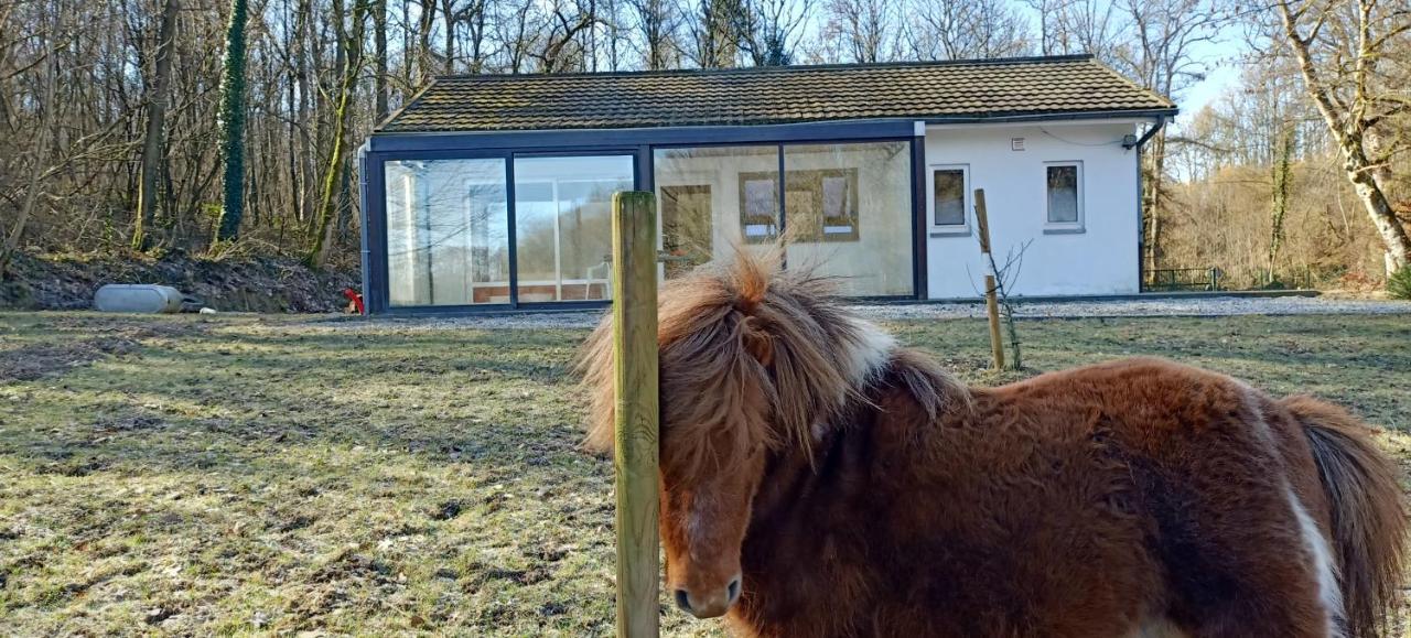 Deux Etangs Poissonneux Au Milieu Des Bois Avec Gite Moderne, La Halte Des Deux Lacs Rosée Exterior photo