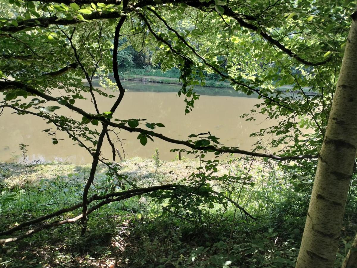 Deux Etangs Poissonneux Au Milieu Des Bois Avec Gite Moderne, La Halte Des Deux Lacs Rosée Exterior photo