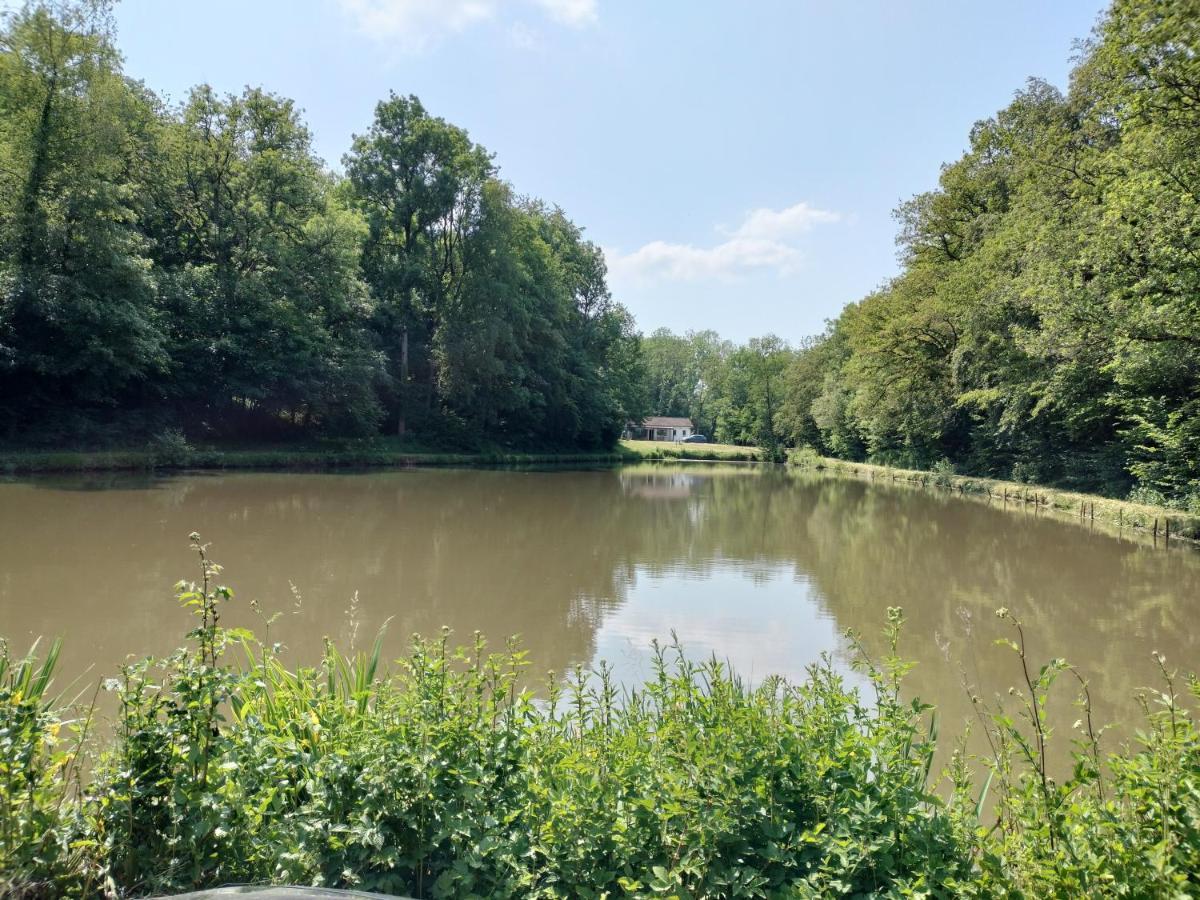Deux Etangs Poissonneux Au Milieu Des Bois Avec Gite Moderne, La Halte Des Deux Lacs Rosée Exterior photo