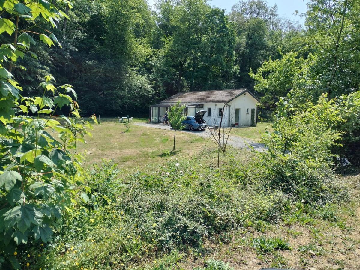 Deux Etangs Poissonneux Au Milieu Des Bois Avec Gite Moderne, La Halte Des Deux Lacs Rosée Exterior photo