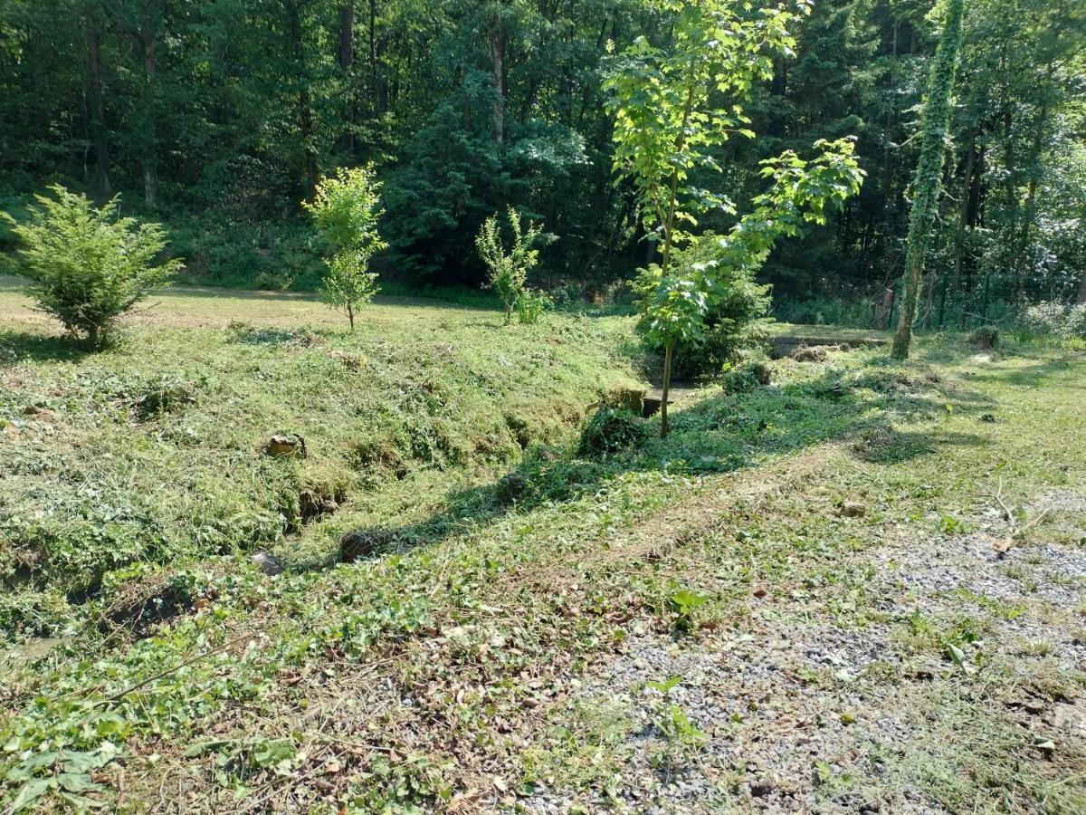 Deux Etangs Poissonneux Au Milieu Des Bois Avec Gite Moderne, La Halte Des Deux Lacs Rosée Exterior photo