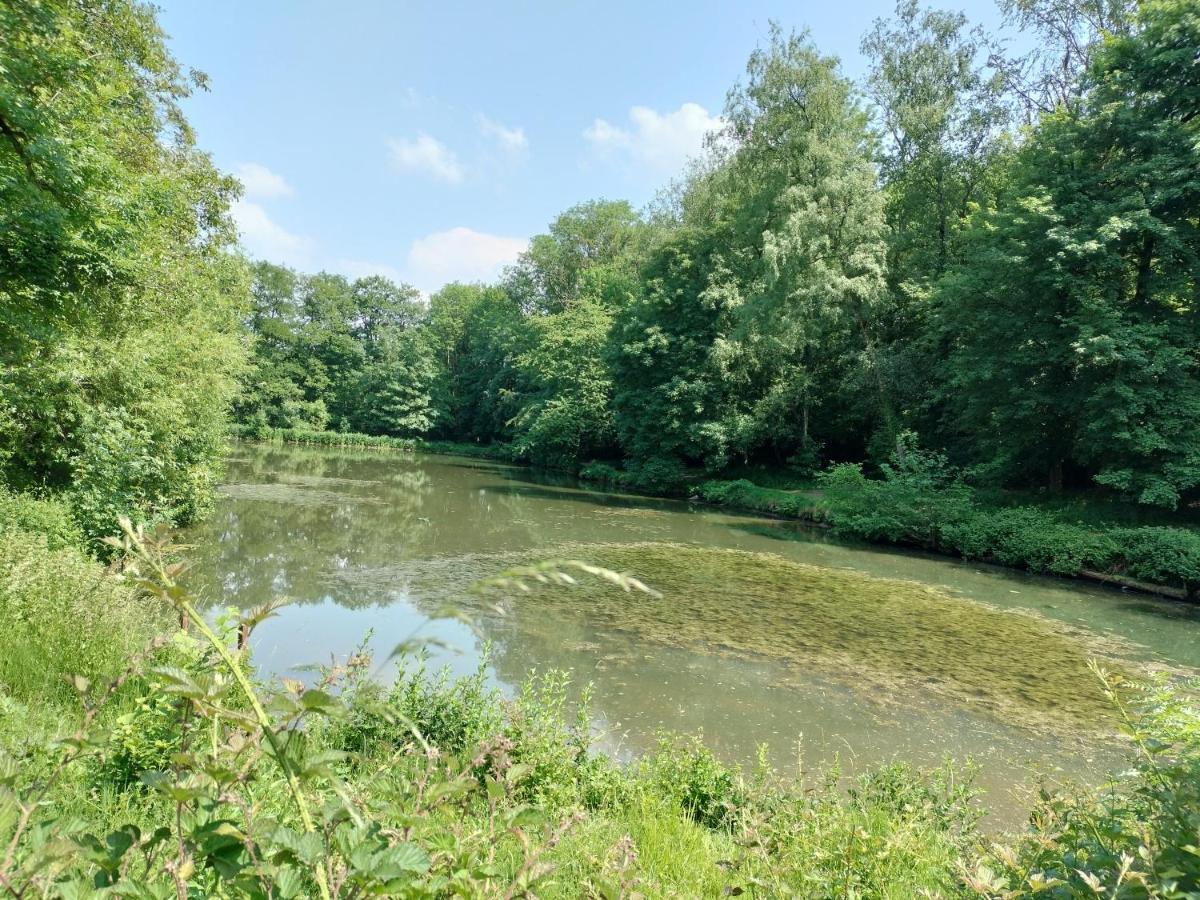 Deux Etangs Poissonneux Au Milieu Des Bois Avec Gite Moderne, La Halte Des Deux Lacs Rosée Exterior photo