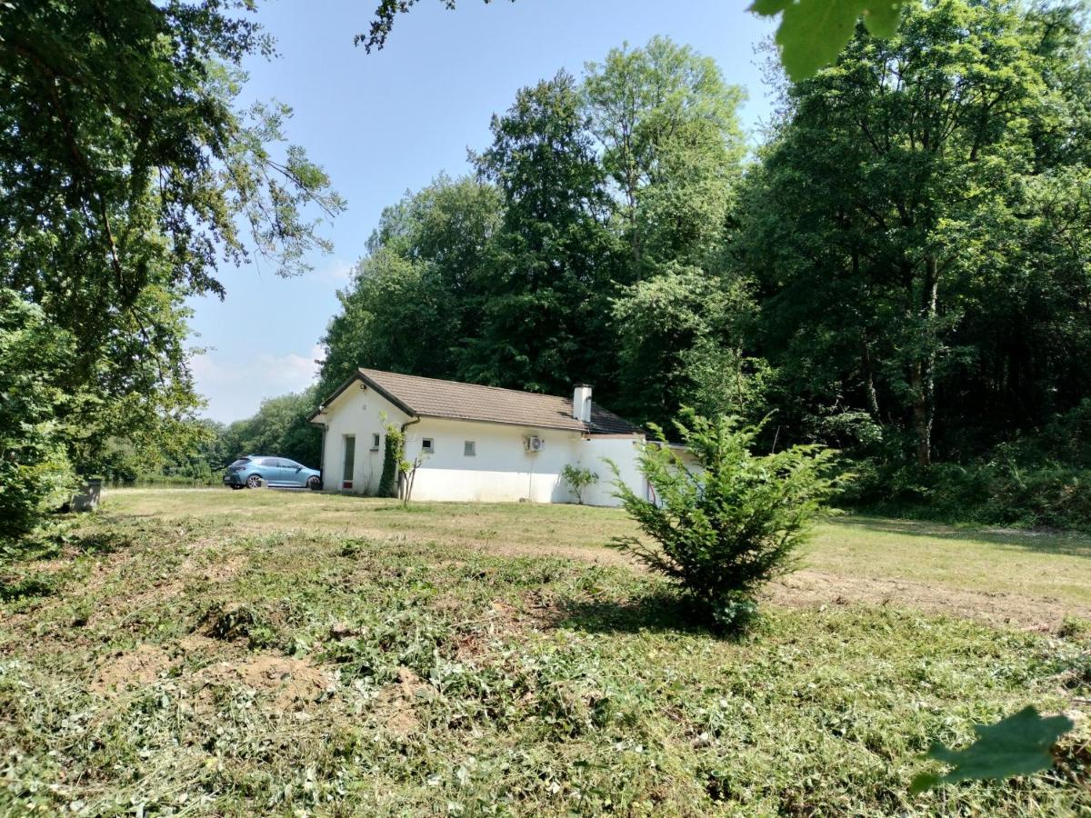 Deux Etangs Poissonneux Au Milieu Des Bois Avec Gite Moderne, La Halte Des Deux Lacs Rosée Exterior photo